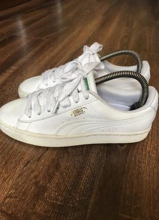Кросівки “puma”