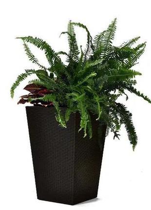 Горщик для квітів пластиковий keter rattan planter m 55.4 l 228974 графіт