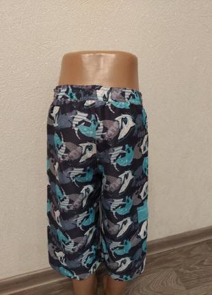 Спортивные длиные шорты, цветные бриджи с акулой5 фото