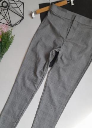 Checoree леггинсы брюки скинни резинки эластичные р хл сток1 фото