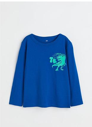 Реглан дитячий лонгслів кофтинка h&m принт динозавр