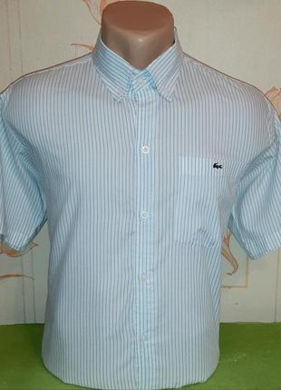 Белая рубашка с короткими рукавами в голубую полоску lacoste, молниеносная отправка1 фото