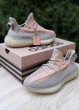 Женские текстильные кроссовки adidas yeezy 350 v2 адидас изи буст 3508 фото