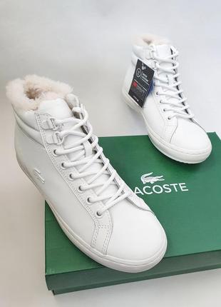 Ботинки lacoste straightset thermo4 фото