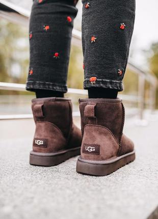 Мужские угги ugg classic mini “chocolate”4 фото