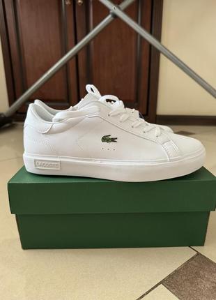 Нові кеди lacoste 38,5р/25см оригінал1 фото