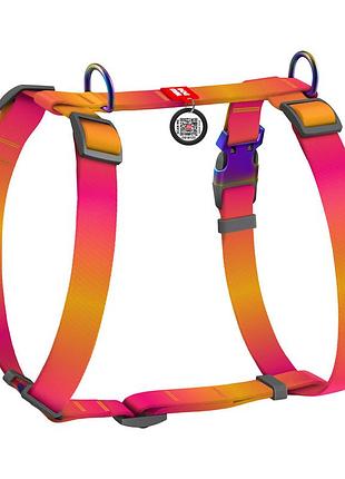 Шлея для собак анатомическая h-образная waudog nylon recycled с qr-паспортом, градиент, m, ш 20 мм, а 40-70, в