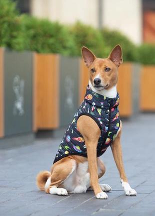 Курточка для собак waudog clothes рисунок "рик и морти 2", m47, в 69-73 см, с 41-45 см3 фото