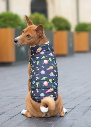 Курточка для собак waudog clothes рисунок "рик и морти 2", m47, в 69-73 см, с 41-45 см4 фото