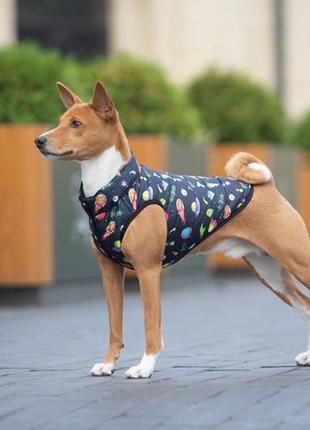Курточка для собак waudog clothes рисунок "рик и морти 2", m47, в 69-73 см, с 41-45 см8 фото
