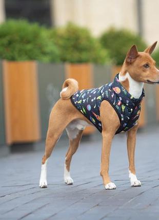 Курточка для собак waudog clothes рисунок "рик и морти 2", m47, в 69-73 см, с 41-45 см5 фото