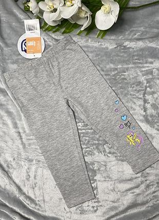Модні лосини з поні