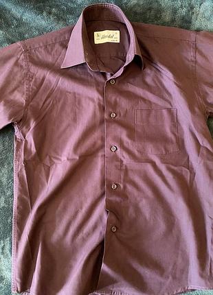 Детская рубашка herdal ( возраст 12) 2