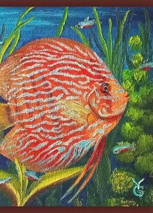 Картина рыба дискус красный туркис 20*20 см5 фото