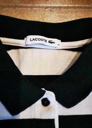 Футболка поло lacoste4 фото