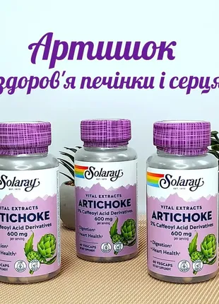 Артишок 300 мг solaray artichoke leaf extract для здоровья печени и сердца 60 растительных капсул