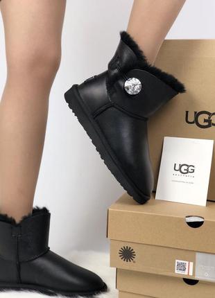 Ugg сапоги женские уги4 фото