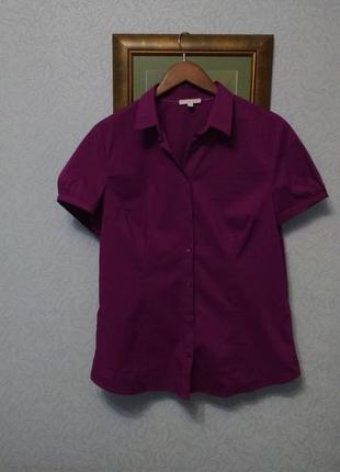Отличная  яркая фиолетовая блуза хлопок charles voegele