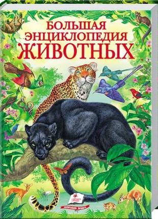 Большая энциклопедия животных1 фото