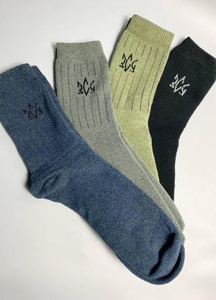 Чоловічі шкарпетки теплі зимові махрові 4 пари 40-45 чорні сір...