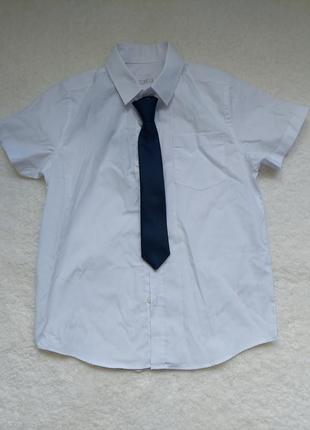 Школьная рубашка next. белая рубашка короткий рукав. рубашка белая1 фото