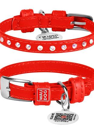 Нашийник для собак шкіряний waudog glamour з qr паспортом, з к...