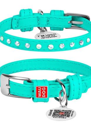 Нашийник для собак шкіряний waudog glamour з qr паспортом, з к...