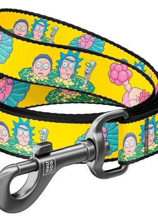 Повідець для собак нейлоновий waudog nylon, малюнок "рік та мо...