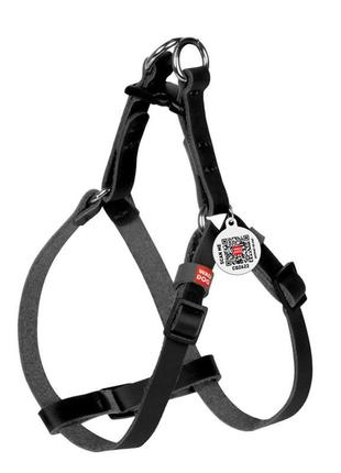 Шлея котів та дрібних собак шкіряна waudog classic з qr паспор...