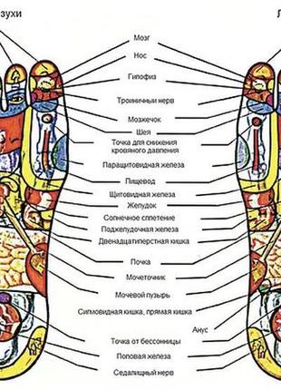 Рефлекторні зони ніг стопи