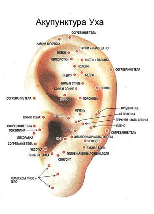 Східна медицина плакат. акупунктура вуха