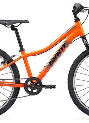Giant xtc jr 24 lite 2019 hotsell