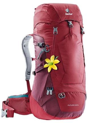 Рюкзак deuter futura 28 sl (cranberry-maron)