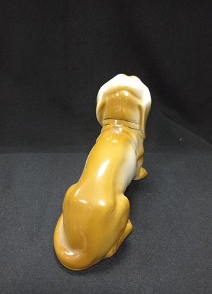Статуетка / фігурка собака "такса" коростенський фарфор, ручна робота, шевченка7 фото