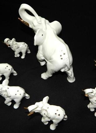 Статуетка / фігурка / набір слонів "зоряний" коростень фарфор складається з 7...