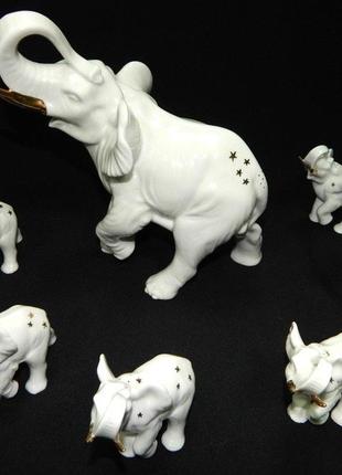 Статуетка / фігурка / набір слонів "зоряний" коростень фарфор складається з 7...