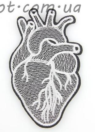 Анатомічне серце нашивка патчі на одяг, 75x45 мм