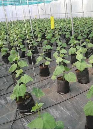 Grow bag 10 литров тканевые горшки / агротекстильные горшки для растений (плотность 50г/м2)