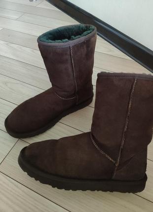 Угги ugg 38 размер