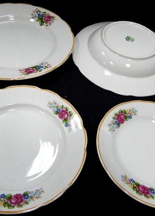 Набор  тарелок "аромат" коростень фарфор состоит из 24 предметов,  на 6 персон, рисунок, отводка люстром6 фото