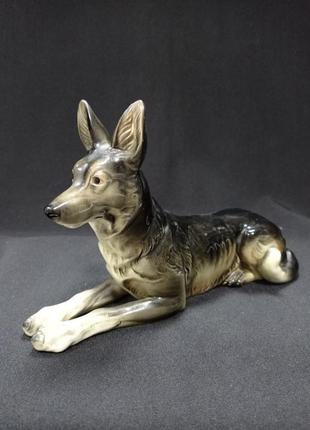 Статуэтка / фарфоровая фигура "собака немецкая овчарка" мануфактура hertwig & co  германия ручная работа.1 фото
