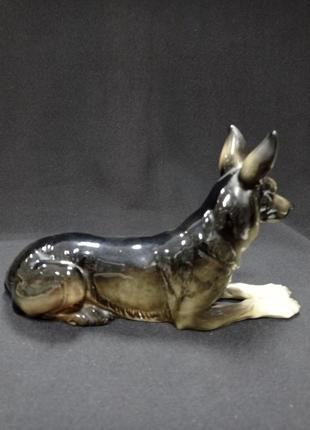 Статуетка / порцеляновий фігура "собака німецька вівчарка" мануфактура hertwig & co німеччина ручна робота.7 фото
