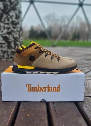 Чоловічі черевики timberland sprint trekker mid португалія, ор...