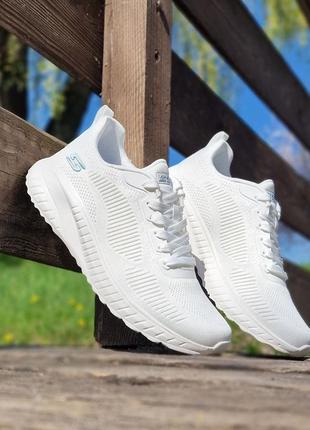 Жіночі кросівки skechers bobs squad chaos-face off white оригі...