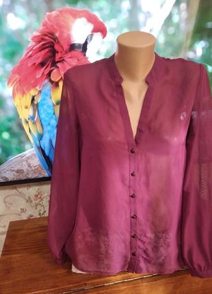 Шифонова Блуза з гіпюром на спинці.