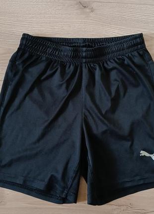 Оригинальный 🎀 спортивные шорты puma/ черные шорты для занятий спортом