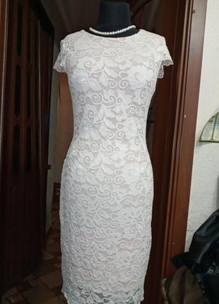 Платье гипюр стрейч,на подкл.р.48,46,44 китай ц.200 гр1 фото