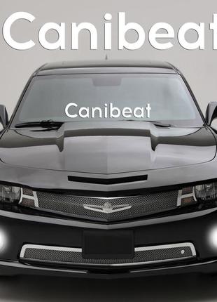 Наклейка на скло "canibeat" або будь напис під замовлення. наклейки на скло авто, на кузов, куди завгодно.в