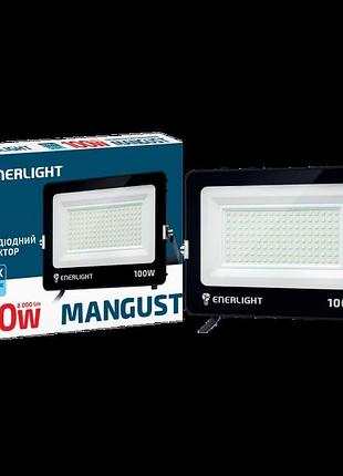 Прожектор світлодіодний 100вт 6500k enerlight mangust