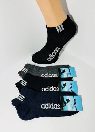 Шкарпетки демісезоні 12 пар бавовна укорочені adidas розмір 36-40 мікс кольорів